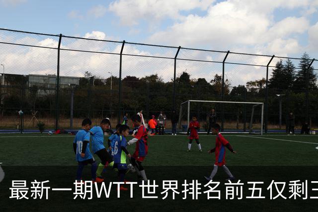 最新一期WTT世界排名前五仅剩王楚钦，上次出现这种情况还要追溯到2003年！-综合体育-乒乓球区-虎扑社区